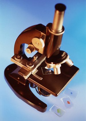 Microscope